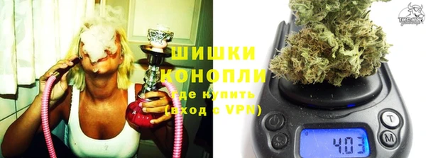 Альфа ПВП Белокуриха