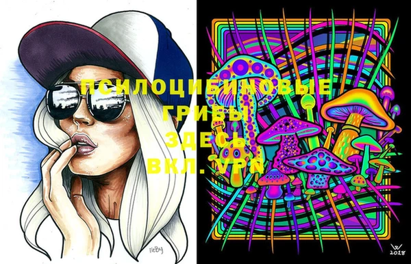 jwh Беломорск