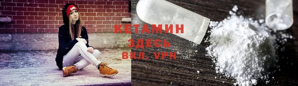 шишки Заречный
