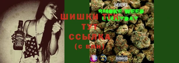 Альфа ПВП Белокуриха