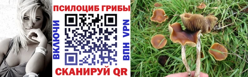 Галлюциногенные грибы Magic Shrooms  Верхняя Салда 